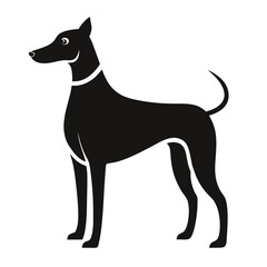 Sleek silhouette presents a noble black Doberman standing elegantly with a confident, alert posture