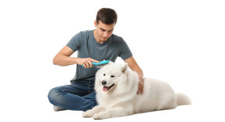 Person brushing a fluffy white dog on a white background