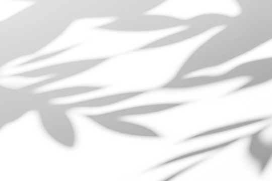 shadow overlay effects of realistic abstract natural tree leaves shadow on wall background,Summer sunlight and shadow overlay effect,shadow for photo interior backdrop studio mockup - Powered by Adobe