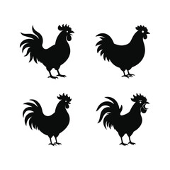 Fototapeta premium Rooster and chicken silhouette set for farm and poultry design vector illustration.