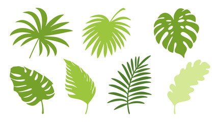 Set of colourful tropical palm leaves vector