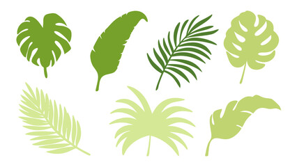 Set of colourful tropical palm leaves vector © Creative vector