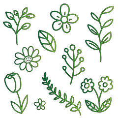 Floral Elements Collection in Green Vector