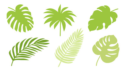 Set of colourful tropical palm leaves vector © Creative vector