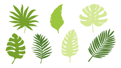 Set of colourful tropical palm leaves vector © Creative vector