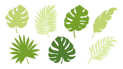 Set of colourful tropical palm leaves vector © Creative vector