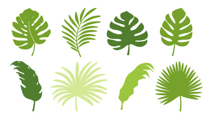 Set of colourful tropical palm leaves vector © Creative vector