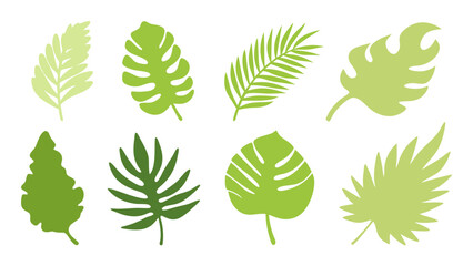 Set of colourful tropical palm leaves vector