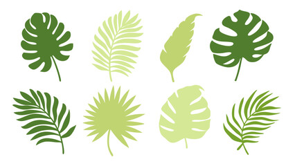 Set of colourful tropical palm leaves vector