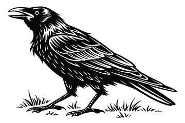 Black raven perches in the grass, its beak slightly open in silhouette