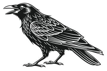 Monochrome drawing shows a stylized raven standing with its beak slightly open on white