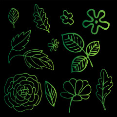 Vector Line Art Floral Collection