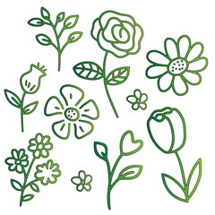 Hand Drawn Floral Elements