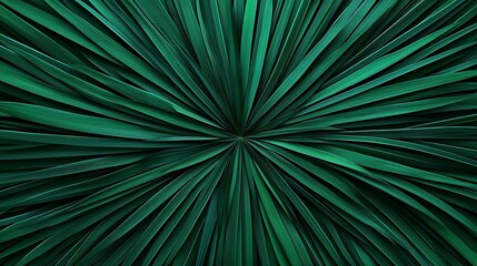 A close-up, symmetrical radial pattern of dark green leaves creating a starburst effect with sharp, textured lines radiating from the center.