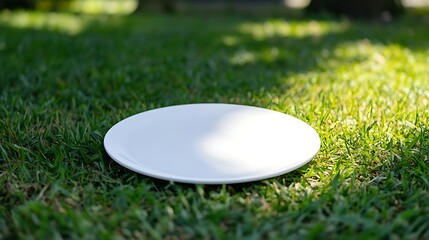 green grass on the grass