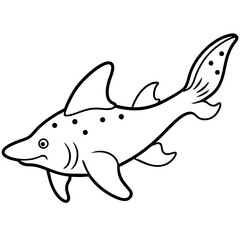Wobbegong Shark Minimalist Line Illustration