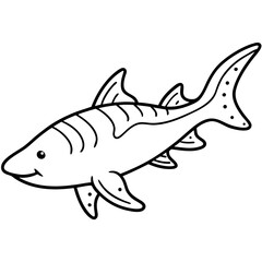 Wobbegong Shark Minimalist Line Illustration