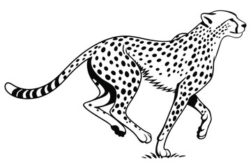 Monochrome cheetah running dynamically showcases striking contrast through its distinct black spots and strong movement