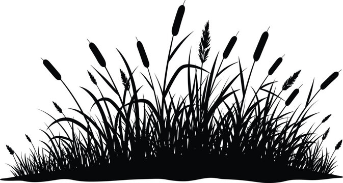 Cattail grass silhouette, black nature plant, marsh vegetation, wild reed bush, field element vector, isolated decorative landscape vector illustration