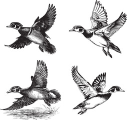 Obraz premium Duck Hunting Svg