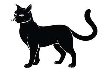 Elegant silhouette shows a sleek black cat with bright eyes standing alert and watching