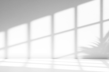 shadow overlay effects of realistic window and tree branch shadow with light blur on transparent background,Summer sunlight and shadow overlay effect