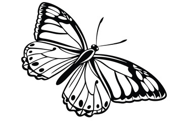 Exquisite butterfly showcases its ornate wings and graceful antennae against a stark white backdrop