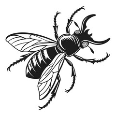 A monochrome beetle with large wings and horn structures is positioned against a white background