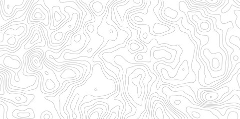 Abstract topography pattern lines sea map area space geometric strip grid line topo map technology modern design white background.