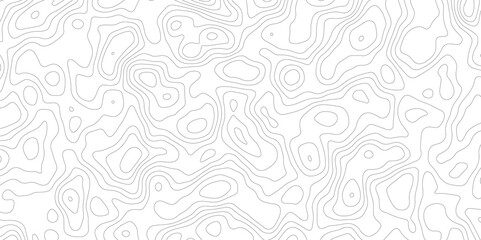 Abstract topography pattern lines sea map area space geometric strip grid line topo map technology modern design white background.