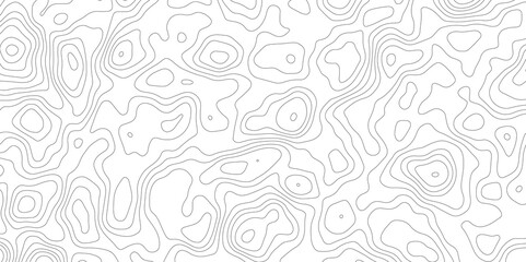 Abstract topography pattern lines sea map area space geometric strip grid line topo map technology modern design white background.