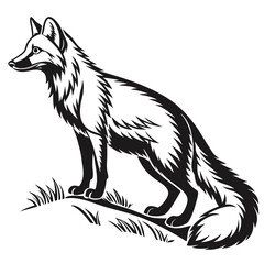 Solitary fox stands regally in grass; its monochrome silhouette exudes wildlife grace