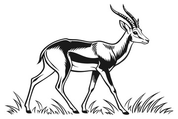 Gazelle walks through tall grass patch in black and white artistic rendering