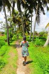 JATILUWIH VILLAGE, TABANAN REGENCY, BALI, INDONESIA - NOVEMBER 19, 2023 The beautiful Jatiluwih rice terraces in Bali, Indonesia. This was during the wet season on a hot sunny afternoon.