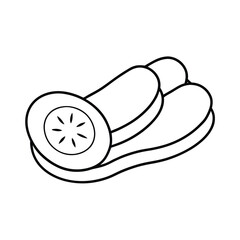 vector illustration of a bone