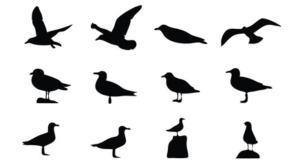 Seagull silhouettes showcase diverse poses as they soar, rest, and stand against a stark backdrop
