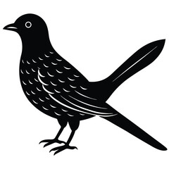 cuckoo vector