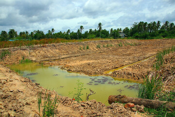 A newly dug pond to store water for agricultural use is partially filled after a light rain, surrounded by dry soil and tall grass, under a cloudy sky.