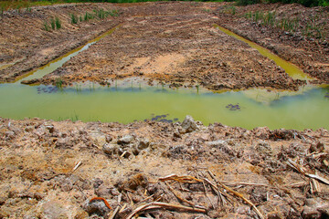 A pond dug for water storage has green, still water with scattered aquatic plants. View from the edge of the pond during the day under dry weather conditions.