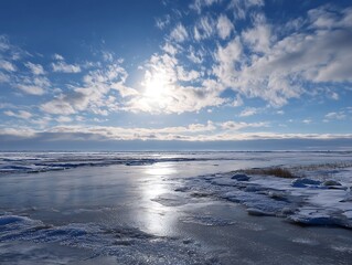 Obraz premium Icy silence under shimmering sky just before ancient life vanished