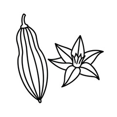 lily of the valley isolated on white