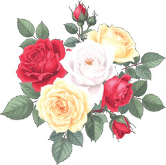 Fototapeta premium A stunning display of red and white roses with green leaves. Graceful roses in various colors arranged for a fresh look. Lush roses in red, yellow, and white. vibrant roses in red, white, yellow hues