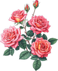 pink roses with artistic detail and buds. Beautifully pink rose flowers with green foliage. Pink roses in full bloom with delicate soft details. Artful depiction of pink roses and green leaves bouquet