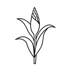 black silhouette of a plant