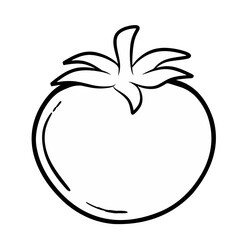 Line tomato isolated on white