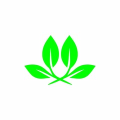 leaf logo
