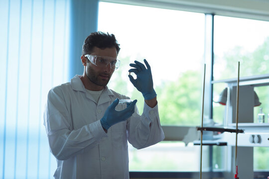 Senior male scientist standing at bench holding petri dish and inspecting flask wearing lab coat - Powered by Adobe