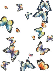 Adobe Illustrator Artwork