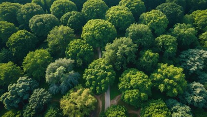 Naklejka premium Stunning aerial shot showcasing lush greenery and a scenic natural reserve