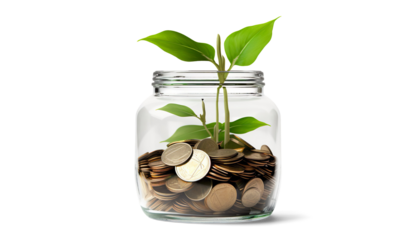 Jar of money plant economy green on a transparent background